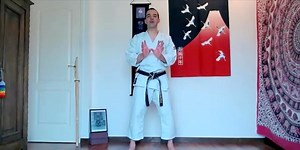 Karate Live Online Seminar: Fundamentals for Timing, Power and Speed