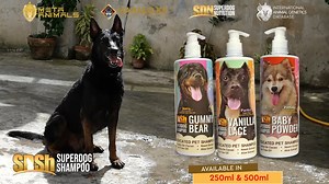 WOW!! BAGONG BAGO NA SUPERDOG SHAMPOO! TALAGANG NAKAKAFRESH AT NAPAKABANGO PARA SA ATING MGA ATING ALAGA🧴🧽✨ ✨Anti-fungal, Anti-bacterial, and Anti-inflammatory Properties ✨Insect Repellant (mites, ticks, and fleas) and Parasiticide ✨Removes Bad Odor, Itchiness, and Dandruff ✨Induces Healthy Hair Growth and Skin Healing Available in three scents: ✨Vanilla Lace ✨Gummy Bear ✨Baby Powder ✨250 ML - PHP 239 ✨500 ML - PHP 409 Free delivery in selected areas is still available. Order now! #MetaAnimals