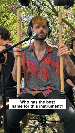 Best name for this instrument?