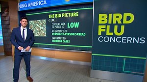 Bird flu cases spark new concerns