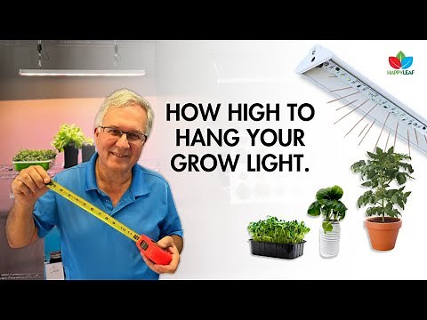 Ideal Grow Light Distance and Simple Indoor Garden Setups for Your Apartment or Home
