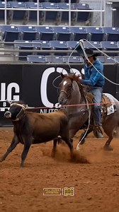 Gold Buckle Futurity 2025 World Finals 4&U Heeling Champion Rider: Jeremy Buhler 🔸226.56 for a total of 907.11🔸 Horse: DT Hickorys Stinger Sired by: Hickory Holly Time Out of: DT Sugar Chex Wiz Bred/Owned by: DT Horses Watch live: xftr.net/gbf25 Free Video: XFRundelivery.com | X Factor Roping