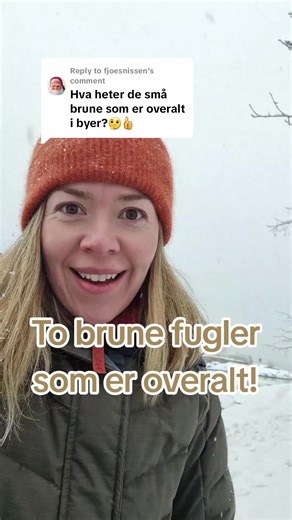 Gråspurv og Pilfink: Kjennetegn og Utbredelse i Norge