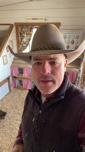 Different Chicken Breeds and Their Egg Colors Explained