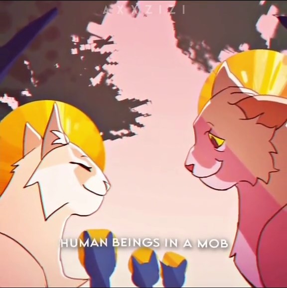 ❗️CREDS: Dreamland - Mothwing PMV by TheWisestDino❗️ #mothwing #mothwingedit #hawkfrost #warriorcats #warriorcatsedit #fypシ #foryoupage