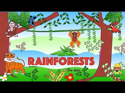 Tropical rainforests for Kids | Facts and Quiz