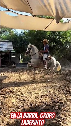 En la barra, grupo laberinto