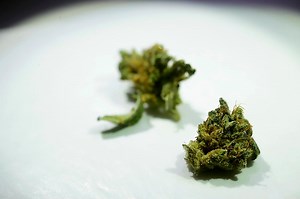 Accuracy is sometimes ‘bad for business’ in Michigan’s world of marijuana testing