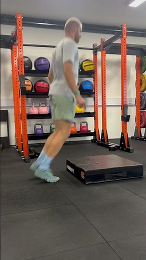 Low Box Rebound Jumps
