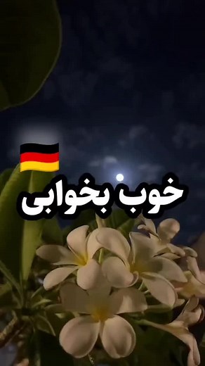 ‎German music | موسیقی آلمانی 🇩🇪‎ on Instagram