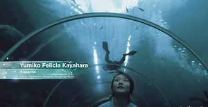 33K views · 269 reactions | For aquarist Yumiko, taking care of aquariums is a challenge but her passion for animals encouraged her to take the path less travelled. bit.ly/2mRWDLq | Ministry of Education, Singapore | Facebook