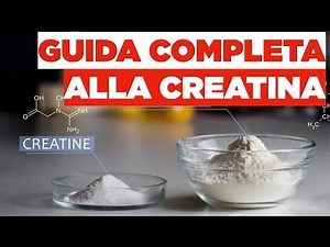 Guida alla CREATINA