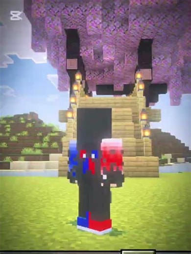 minecrft edit🤞🤞