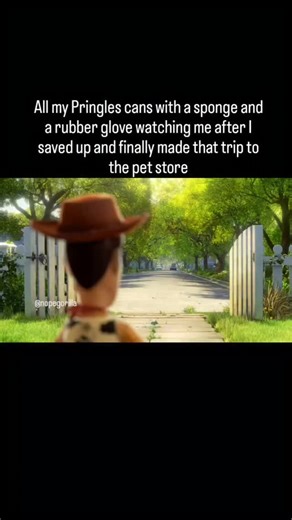 Villo plasty on Instagram