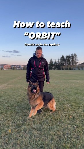 𝗝𝗔𝗦𝗣𝗘𝗥 & 𝗗𝗮𝗿𝗶𝗮 on Instagram: "A year ago I thought there was no way I would ever be able to teach Jasper this fun trick. I just silently admired dogs who flawlessly span around their owners 😅 But as we started to do more things to improve Jasper’s rear end awareness, I decided to give it a try. I didn’t look for any instructions or tutorials, and just wanted to go with the flow and to do it the way I 