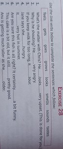 EXERCISE 28Use the link verbs below to complete the sentences ... | Filo