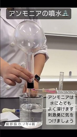 アンモニアの噴水#実験 #気体#中学理科 #アンモニアの噴水#science #shorts