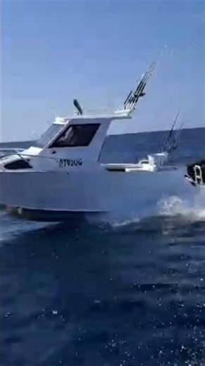 Trailcraft Sportscab