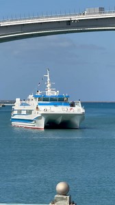 James Booker on Reels