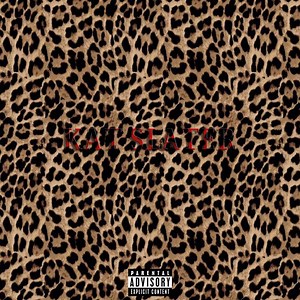 Kat Slater (Native Remedies Remix) - Tim Duzit: Song Lyrics, Music Videos & Concerts