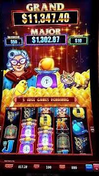 I Got 7 Free Spins On This Slot Machine! #slot #casino #bonus