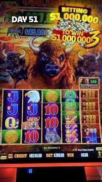 Day 51 🦬 We ONLY wanna hear good news on Buffalo Cash
