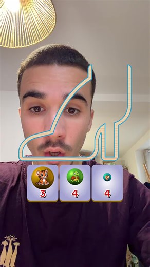 Défi de la chaussure remplie de boules tigres