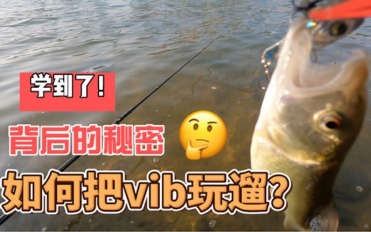 学到了！揭秘vib操作精通背后的秘密