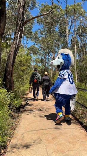 too smooth | Blue Indianapolis Colts Mascot