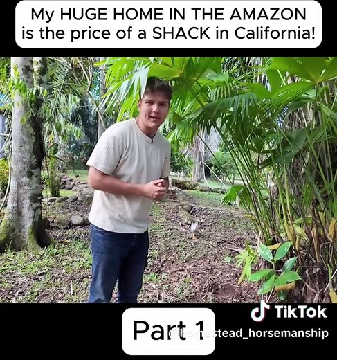 HUGE AMAZON HOME vs. California Shack Price - Part 1