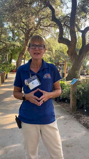 51K views · 1.9K reactions | Save Energy. Plant Trees. Get $50 Back!...