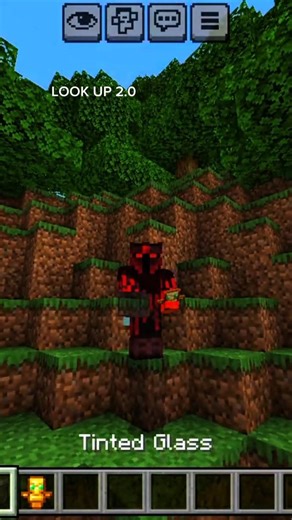 THE DIFFERENCE BETWEEN A STAND AND TINTED GLASS IN MINECRAFT..