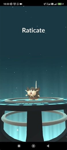 Rattata Evolution To Raticate Black Alola