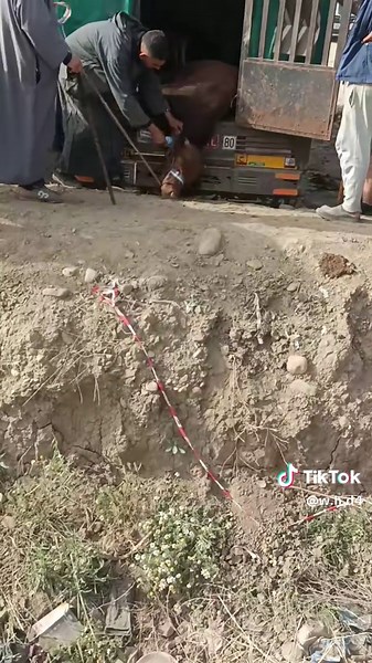 Vidéos de W.H.D (@w.h.d4) avec son original - W.H.D