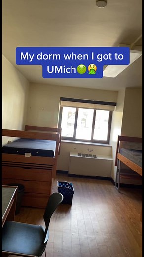 University of Michigan Freshman Dorm Room Ideas