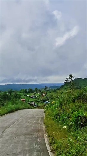 Exploring the Beauty of Nature: A Mountain Adventure