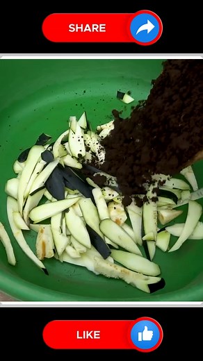 Organic Bitter Gourd Farming at Home | Small Vegetable Garden