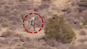 23K views · 1K reactions | Chills on Reels | Facebook