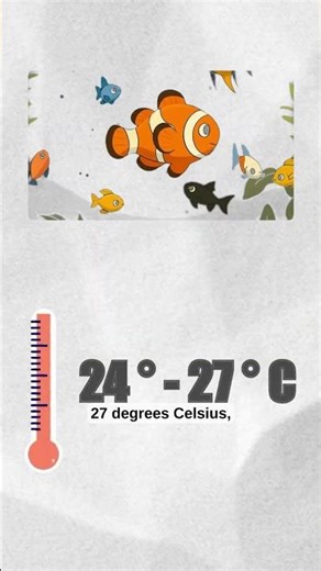 Top Aquarium Care Tips Every Fish Keeper Must Know! 🐠✨| TANKED IND | @tanked_ind