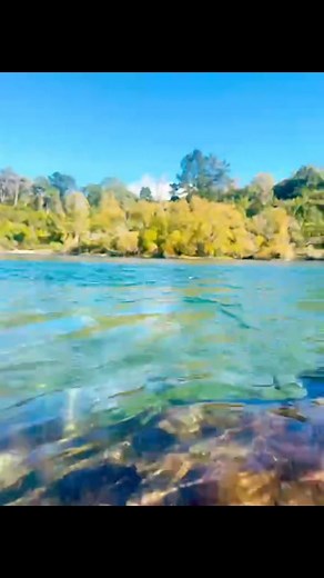 29 reactions · 3 comments | Hello hello hello guys | Shiva Bhusal | Facebook