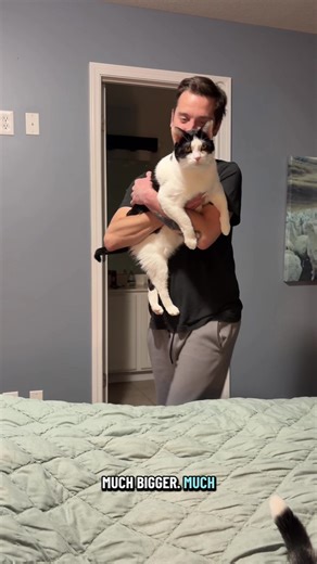 Surprising Cow Delivery with a Special Guest