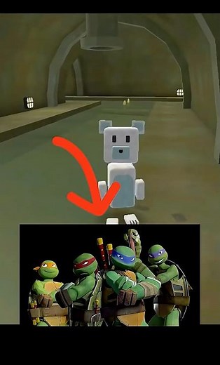 I Discovered All Hidden Ninja Turtles