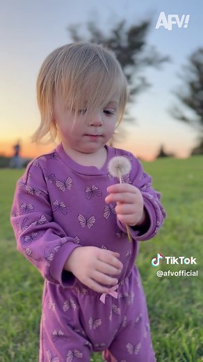 I'd be dande-lyin' if I said that was a good idea 😂 #afv #fail