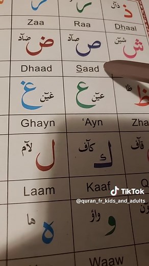 Learn Arabic Letters- Quran For Kids And Adults #arabicalphabets #quran #tajweed #tajweedquran quran