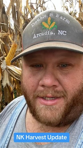 Checking some @NK Seeds corn treated with Seed from Verdesian Life Sciences! #nkpartner #seedpluspartner #corn #seed #farming | Ray Ray Bizier