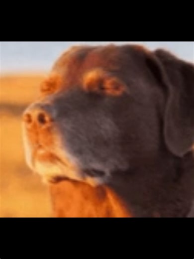 Fortnite Creative Map Guide: Code 4289-0826-8805