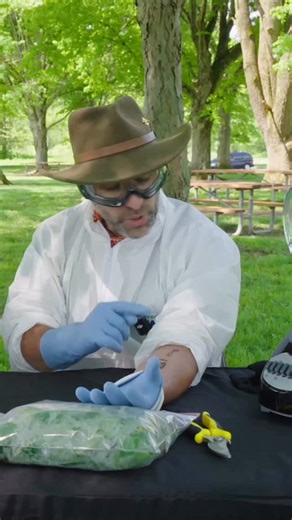 What happens when you blend Poison Ivy leaves and put it all over your arm? As common sense might tell you, the results aren’t good! This past summer, @raytillerofficial and I put ourselves through the most extreme Poison Ivy test the internet has ever seen, and boy, did we regret it. Watch the full adventure on the @bravewilderness YouTube channel, and stay tuned for more crazy plant experiments later this year! | Coyote Peterson