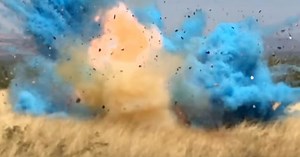 Border agent's gender-reveal explosion