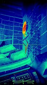 Ancient Bloodshed: Predator vs. Alien #predators #xenomorph #avp #yautja