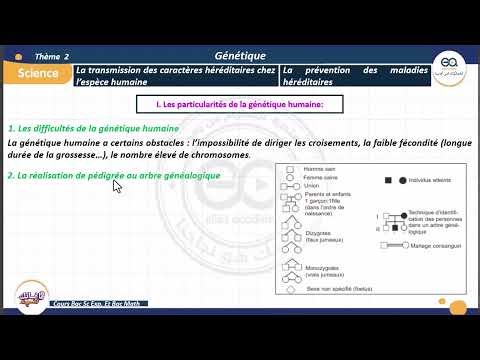 01_Génétique humaine : Particularités de la génétique humaine